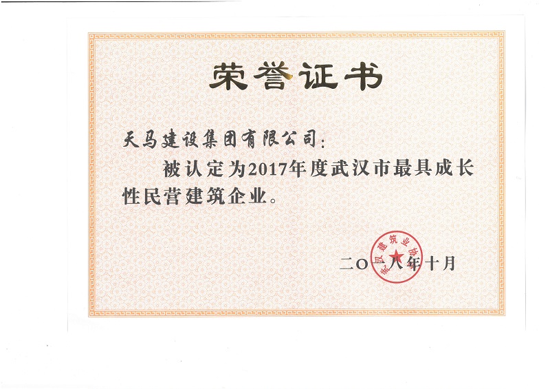 2017年度武漢市最具成長(zhǎng)性民營企業(yè)（獎(jiǎng)狀）