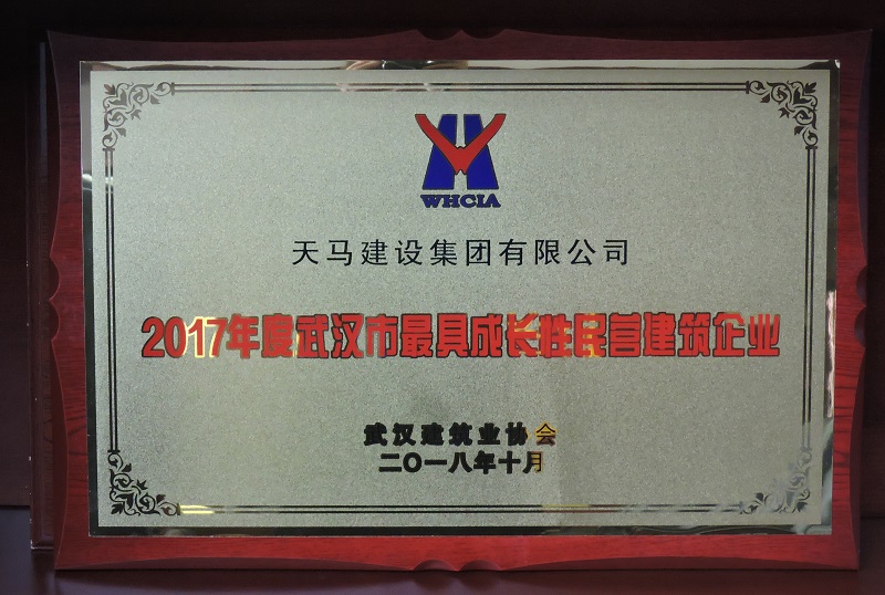 2017年度武漢市最具成長(zhǎng)性民營企業(yè)（獎(jiǎng)牌）
